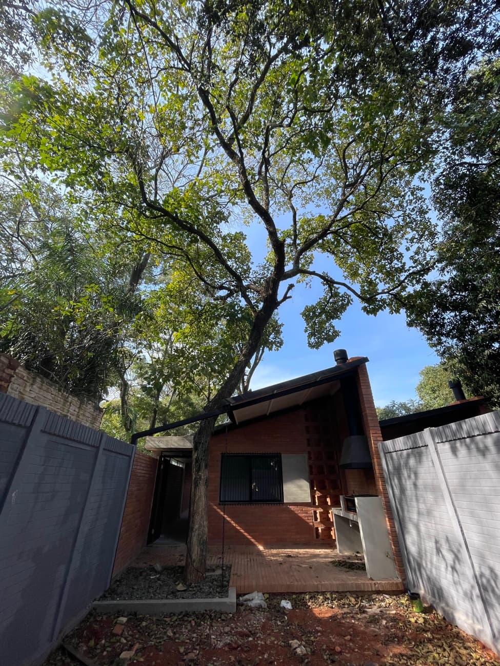 La casa terminada vista desde el fondo, con el árbol grande abriéndose por encima
