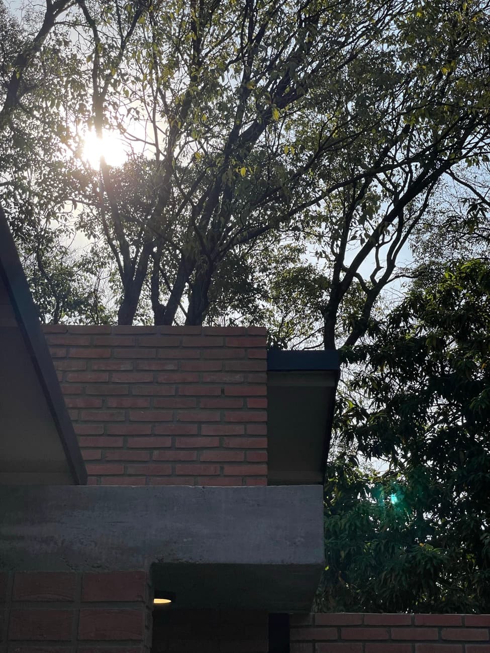 El sol filtrándose entre los árboles sobre el remate de ladrillo y hormigón del alero