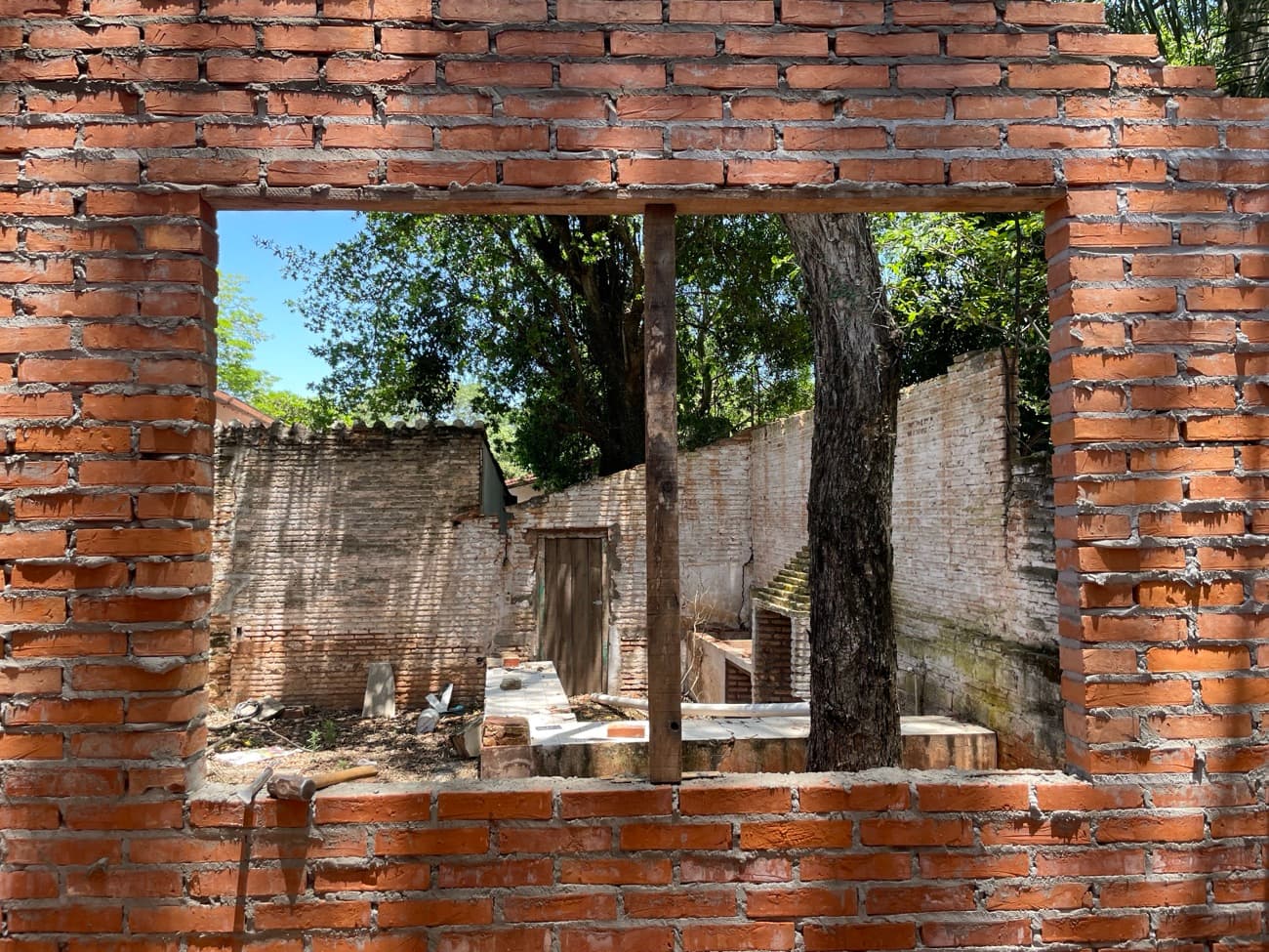 El vano de una ventana enmarcando el árbol y el fondo del terreno