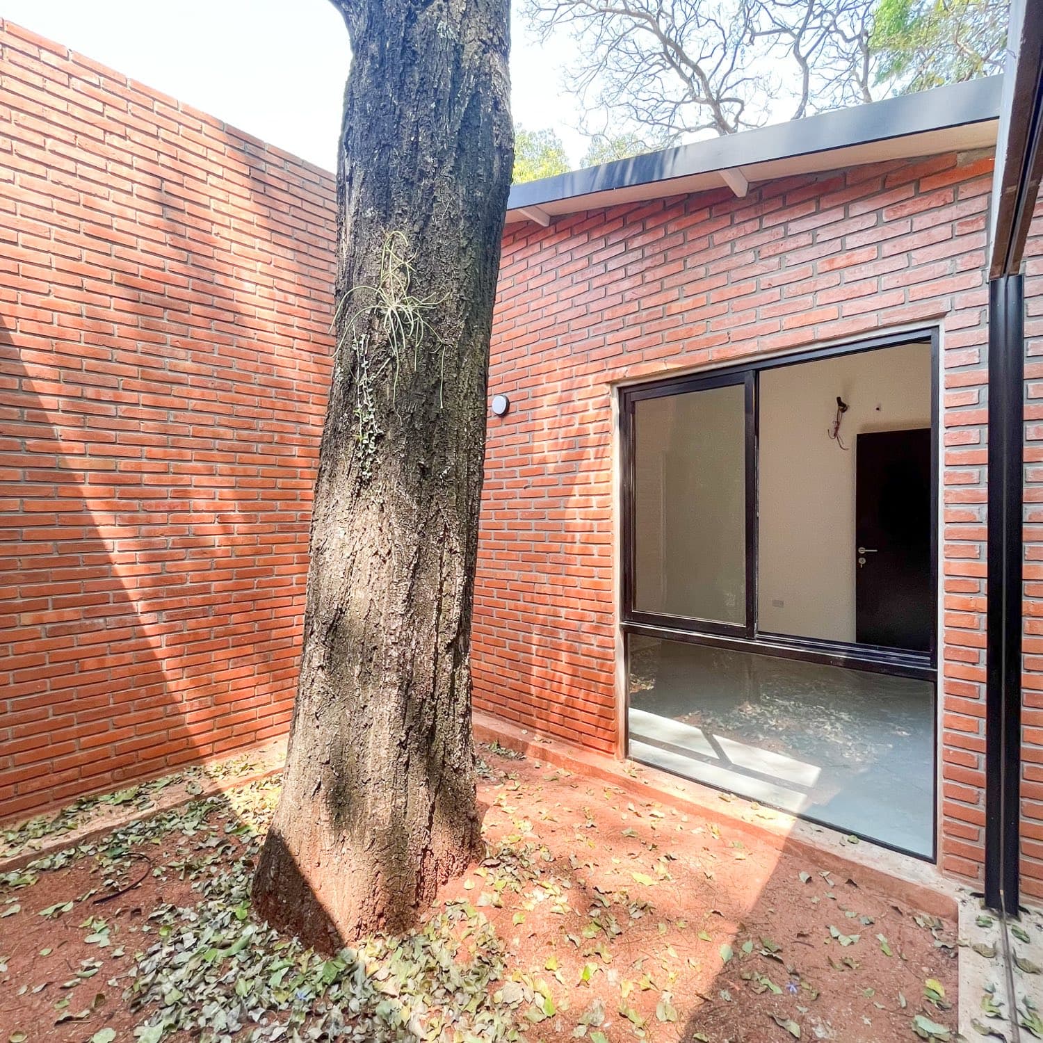 Patio con el árbol y la galería